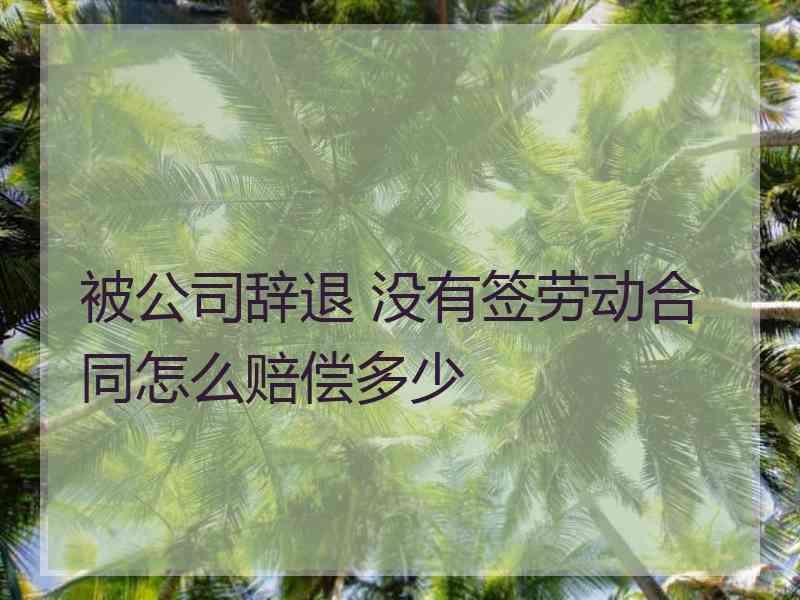 被公司辞退 没有签劳动合同怎么赔偿多少