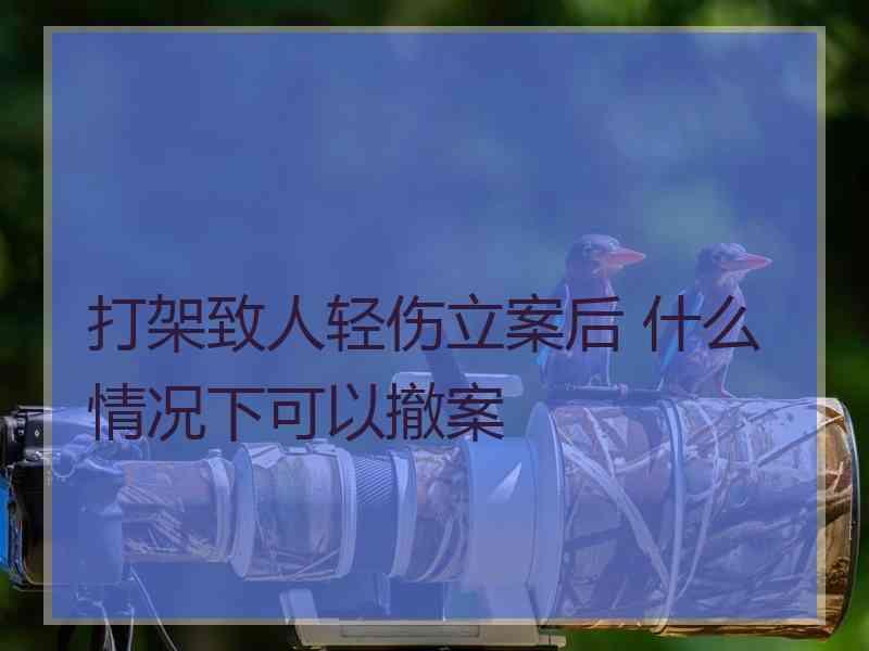 打架致人轻伤立案后 什么情况下可以撤案