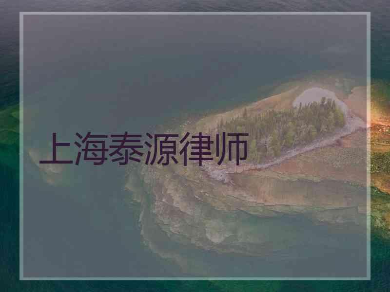 上海泰源律师