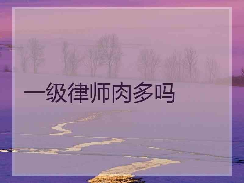 一级律师肉多吗