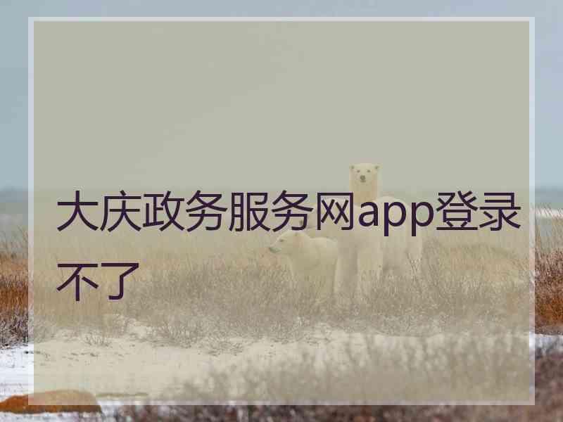 大庆政务服务网app登录不了