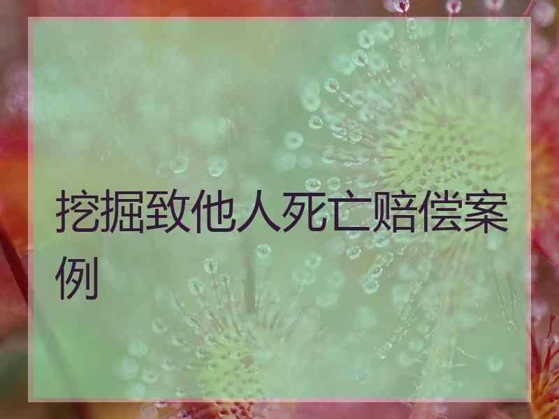 挖掘致他人死亡赔偿案例