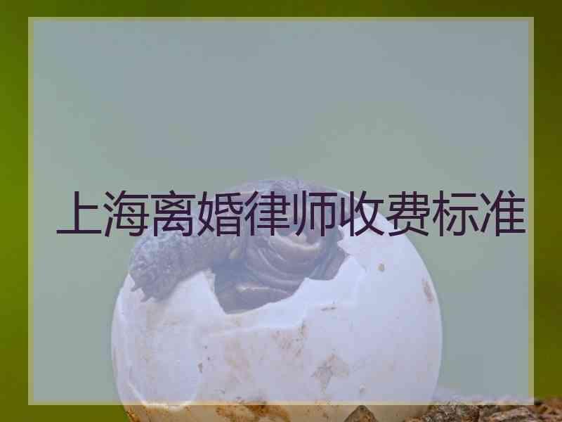 上海离婚律师收费标准