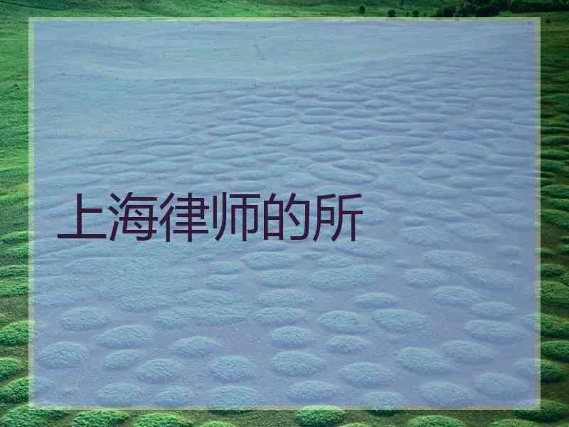 上海律师的所