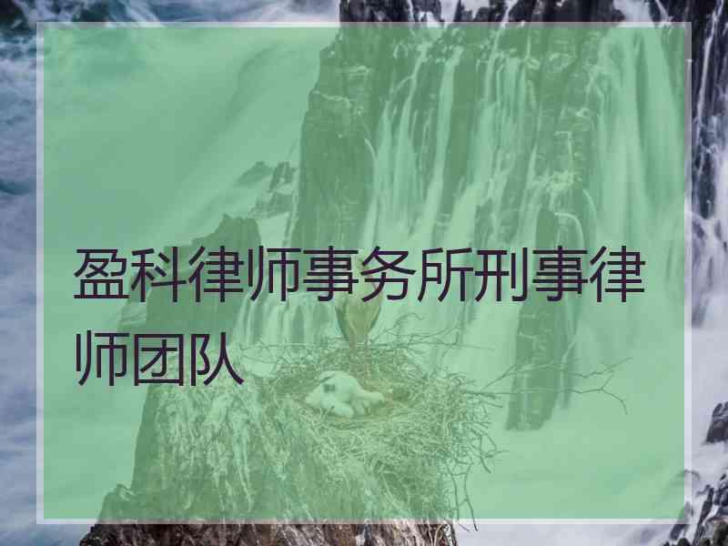 盈科律师事务所刑事律师团队