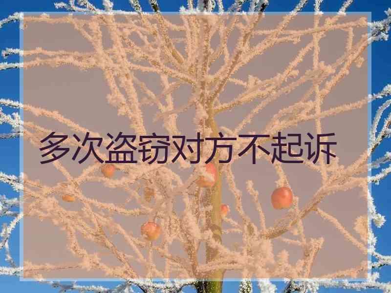 多次盗窃对方不起诉