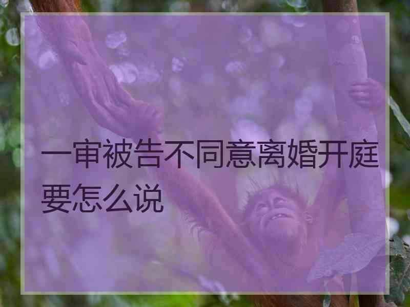 一审被告不同意离婚开庭要怎么说