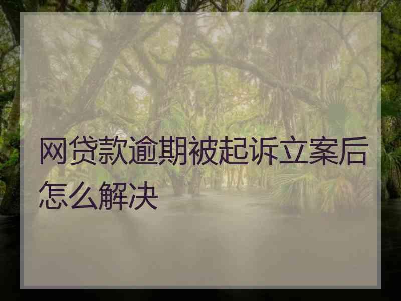 网贷款逾期被起诉立案后怎么解决