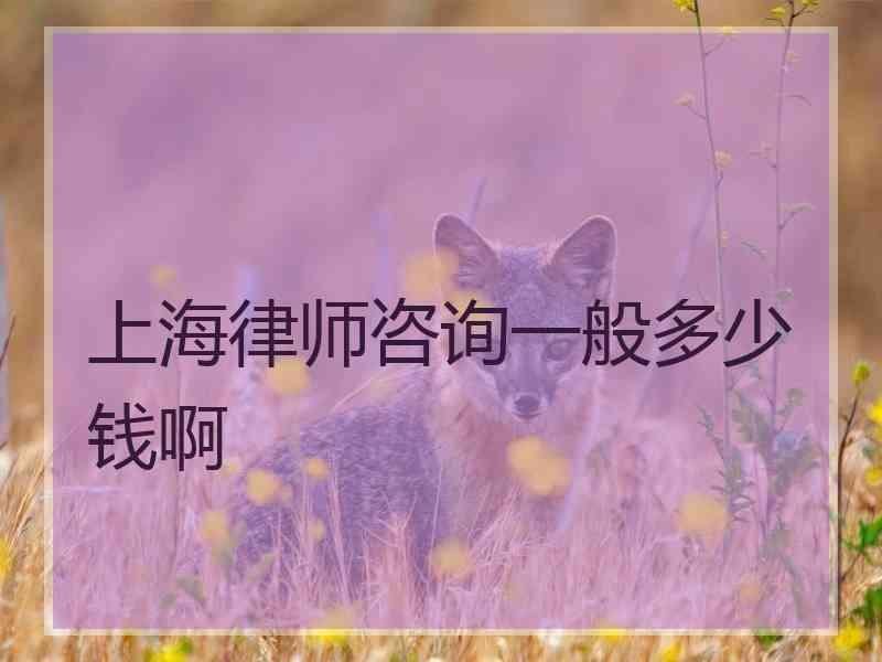 上海律师咨询一般多少钱啊