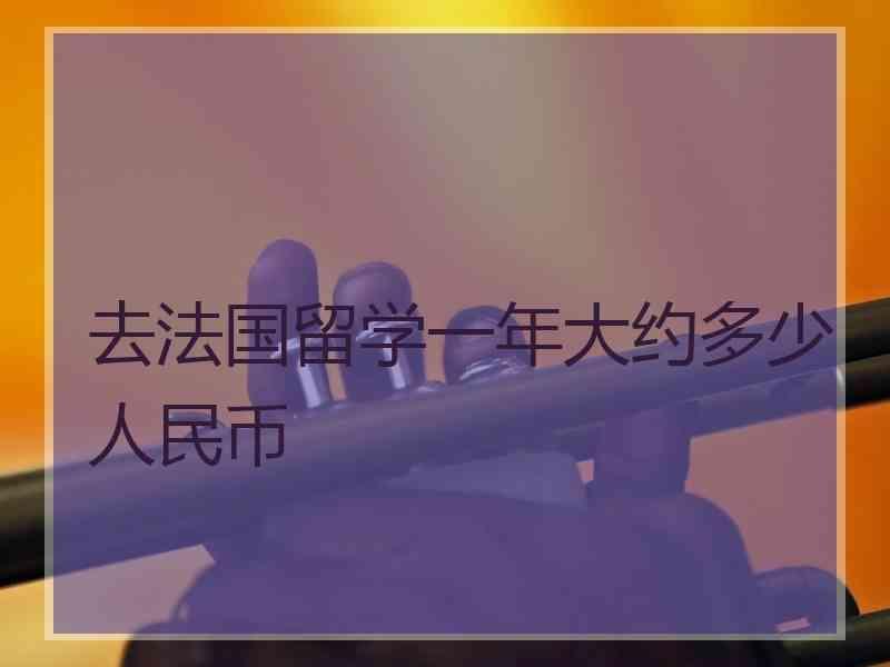 去法国留学一年大约多少人民币