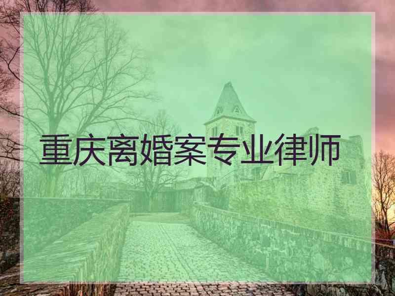 重庆离婚案专业律师