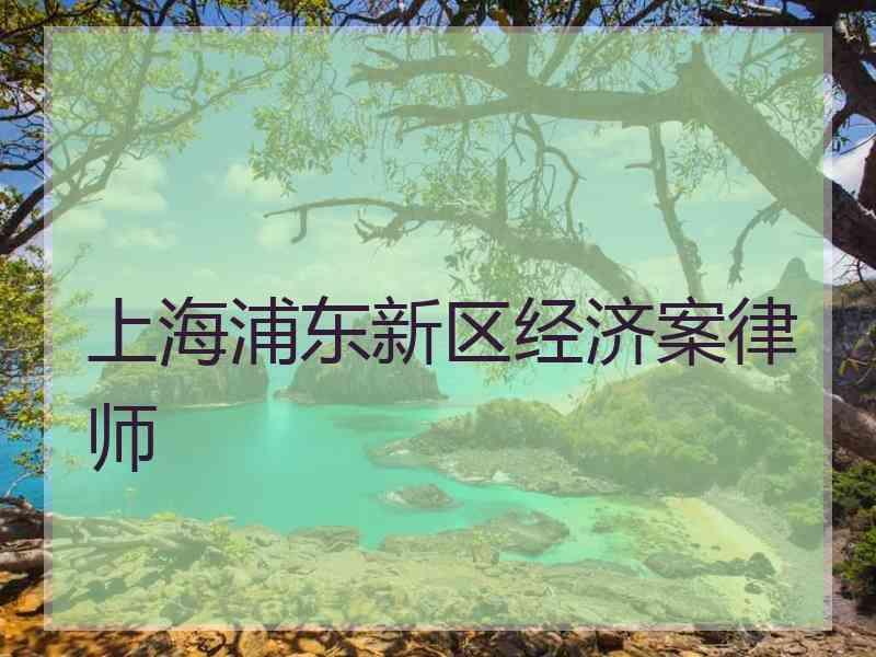 上海浦东新区经济案律师