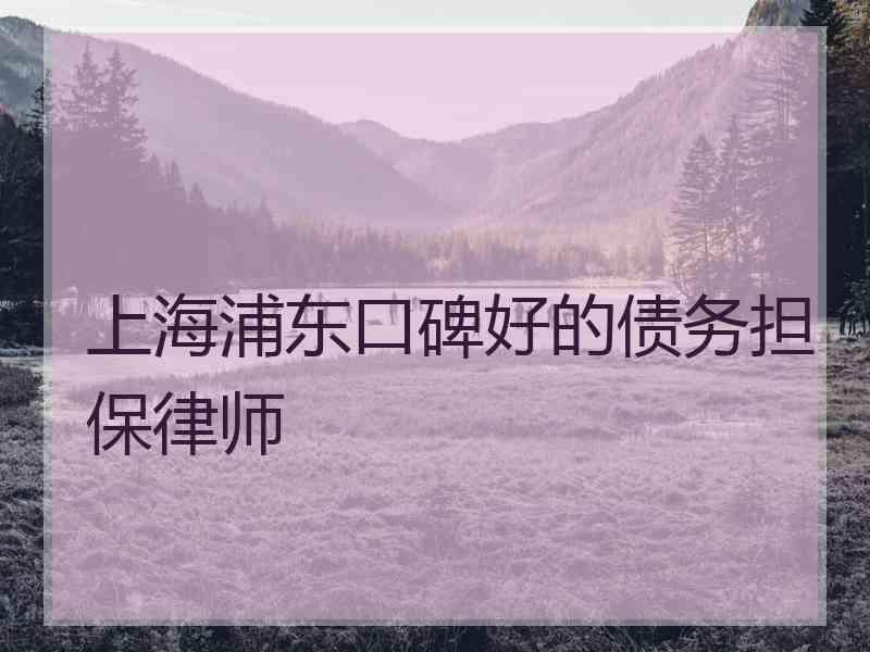 上海浦东口碑好的债务担保律师