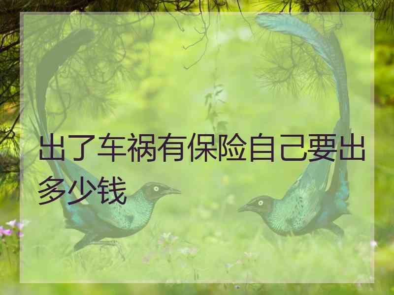 出了车祸有保险自己要出多少钱
