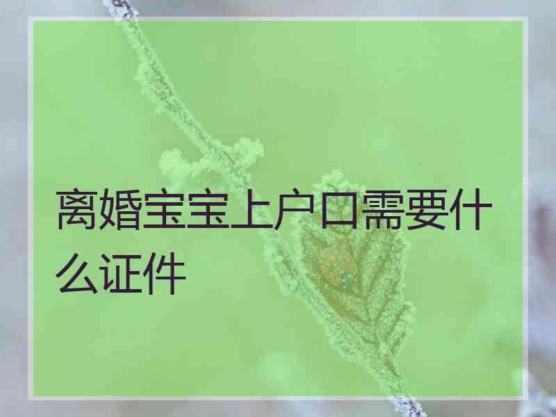 离婚宝宝上户口需要什么证件