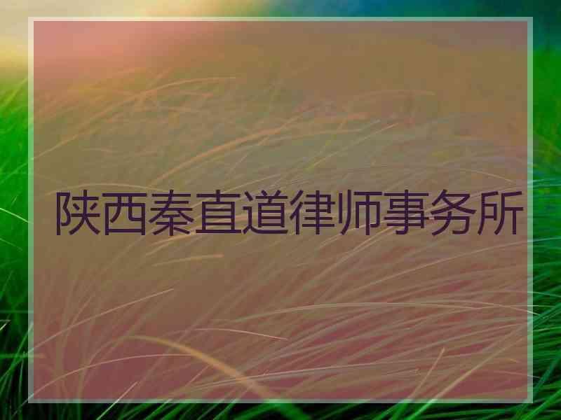 陕西秦直道律师事务所