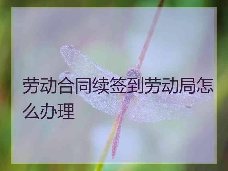 劳动合同续签到劳动局怎么办理