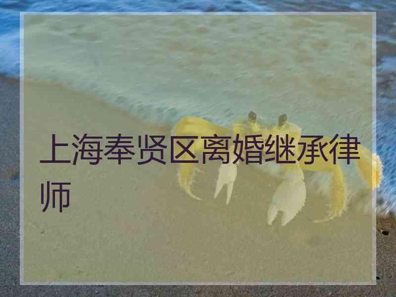 上海奉贤区离婚继承律师