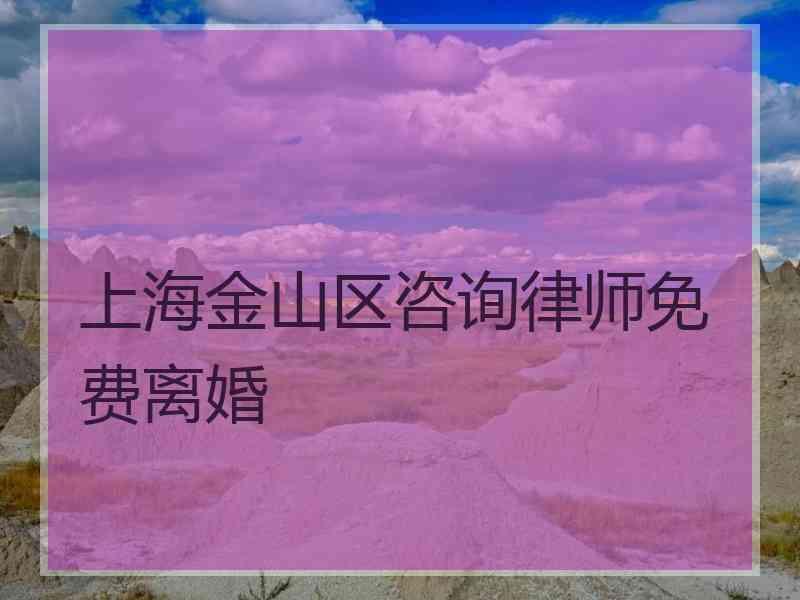 上海金山区咨询律师免费离婚