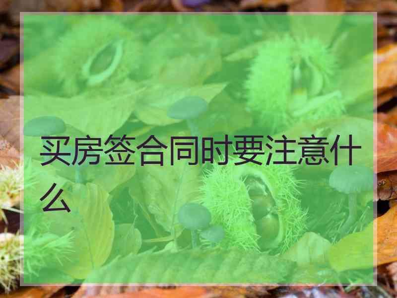 买房签合同时要注意什么