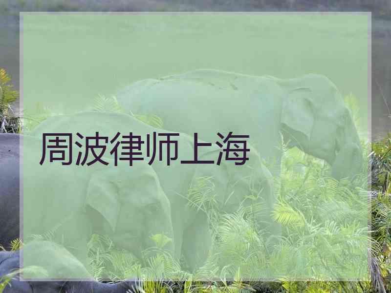 周波律师上海