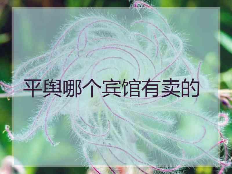 平舆哪个宾馆有卖的