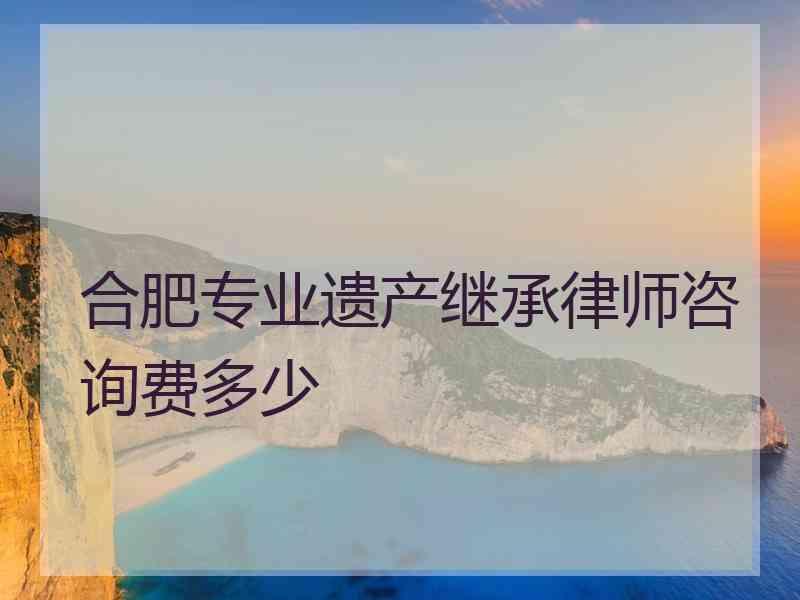 合肥专业遗产继承律师咨询费多少