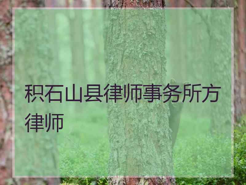 积石山县律师事务所方律师