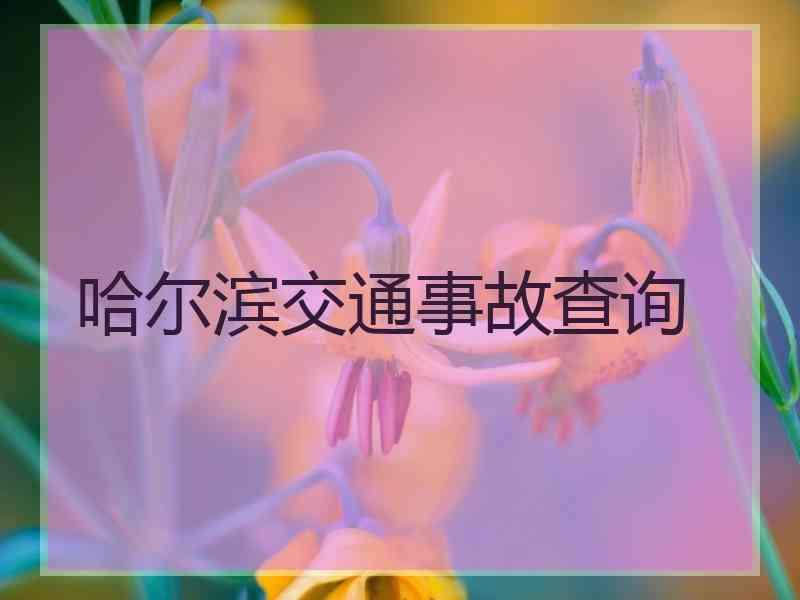 哈尔滨交通事故查询