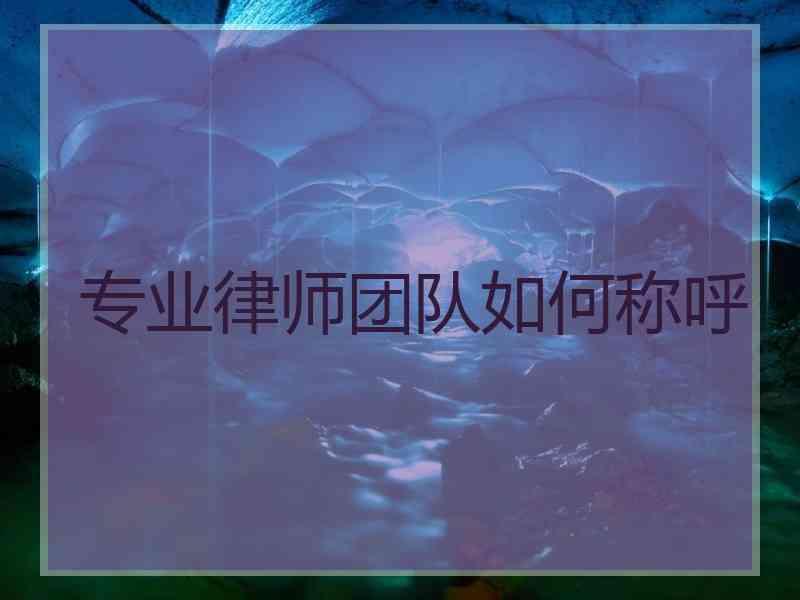 专业律师团队如何称呼