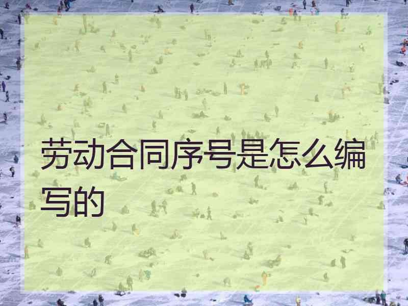 劳动合同序号是怎么编写的