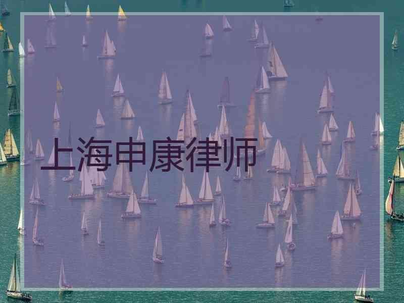 上海申康律师