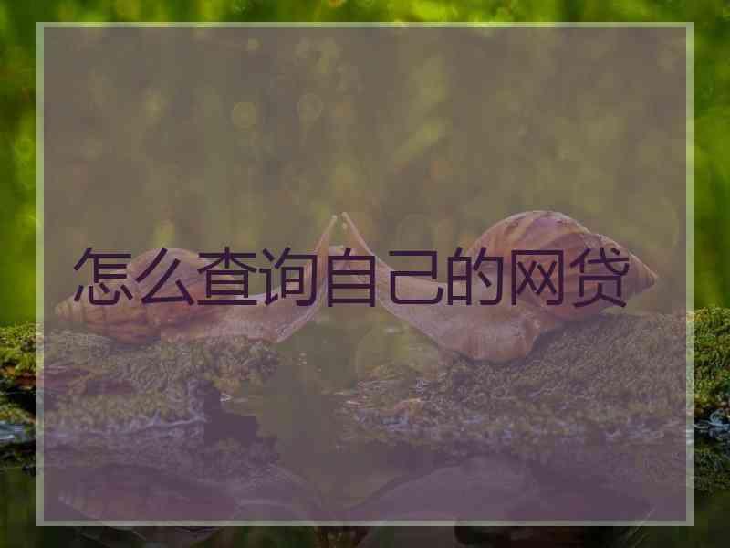 怎么查询自己的网贷