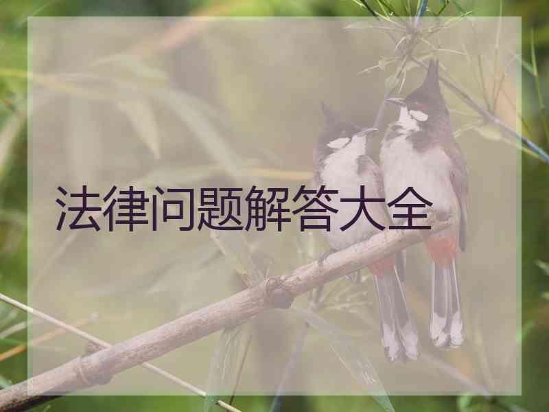 法律问题解答大全