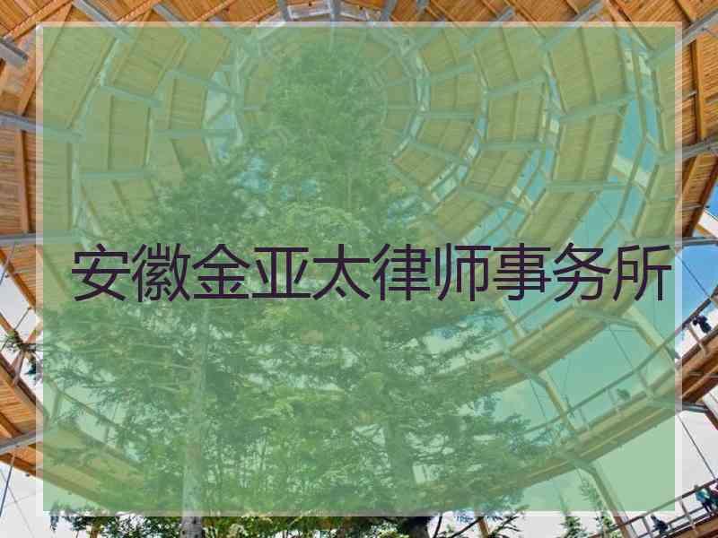 安徽金亚太律师事务所