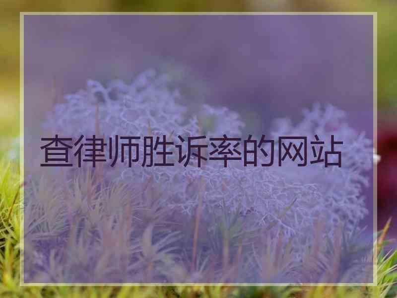 查律师胜诉率的网站