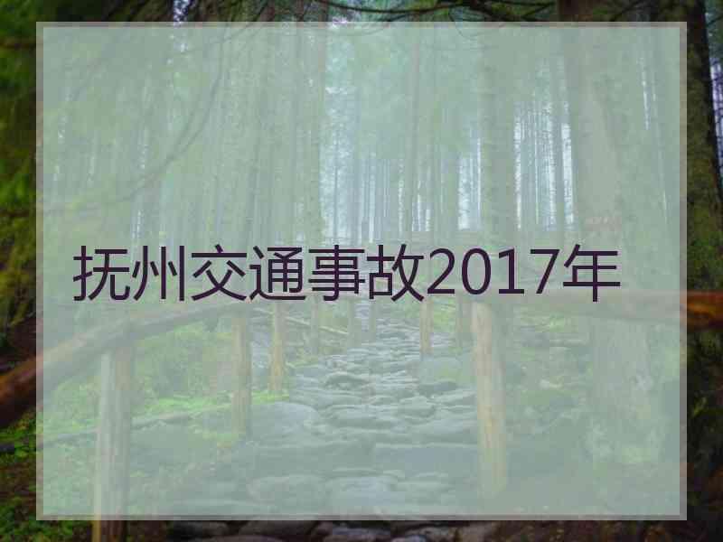 抚州交通事故2017年