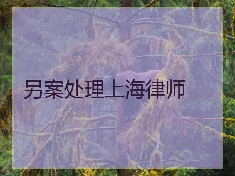 另案处理上海律师