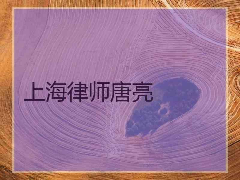 上海律师唐亮