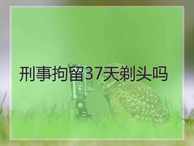 刑事拘留37天剃头吗