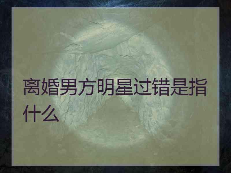 离婚男方明星过错是指什么