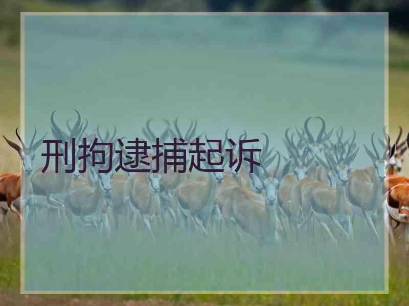 刑拘逮捕起诉