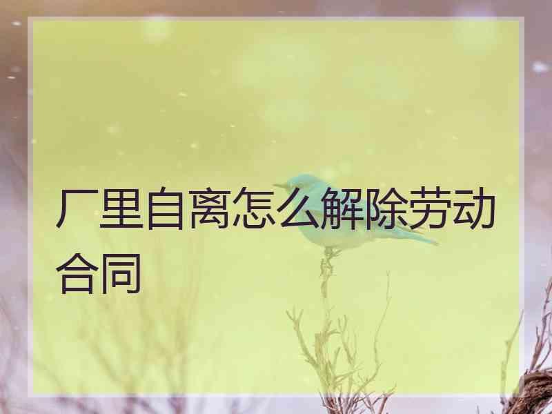 厂里自离怎么解除劳动合同