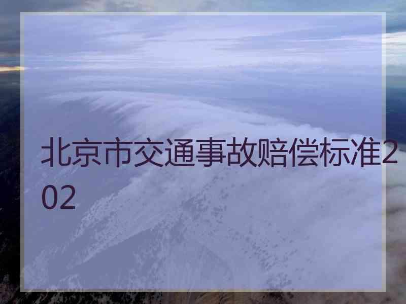 北京市交通事故赔偿标准202