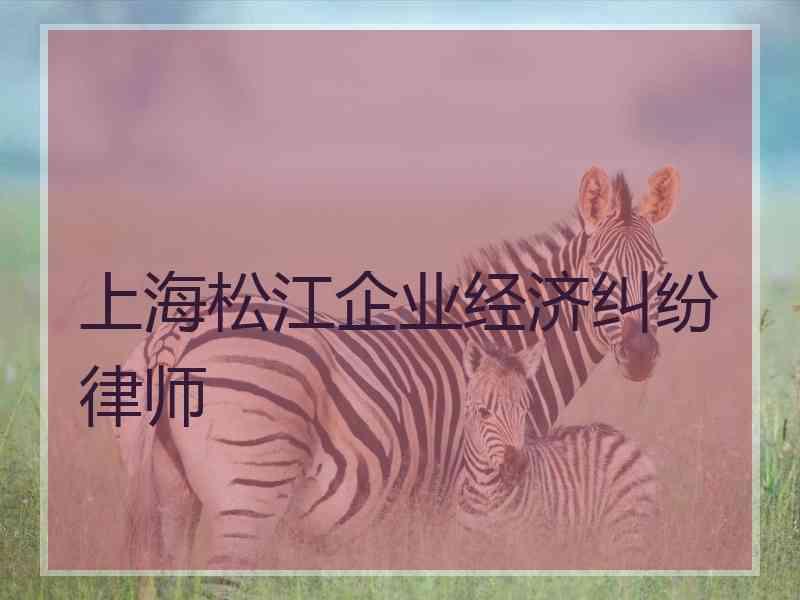 上海松江企业经济纠纷律师