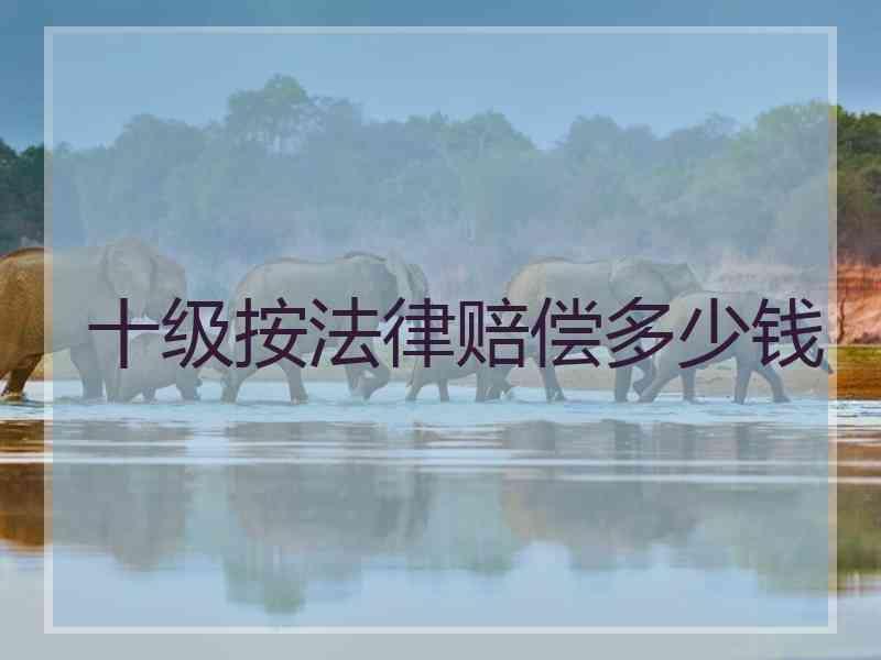 十级按法律赔偿多少钱