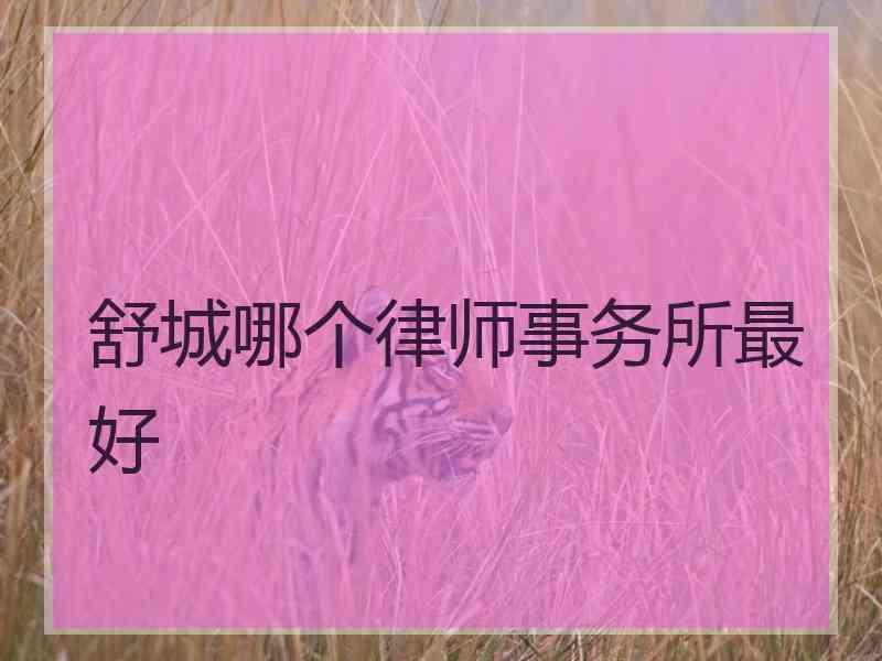 舒城哪个律师事务所最好