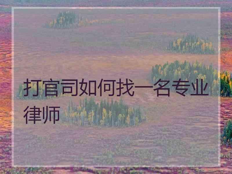 打官司如何找一名专业律师