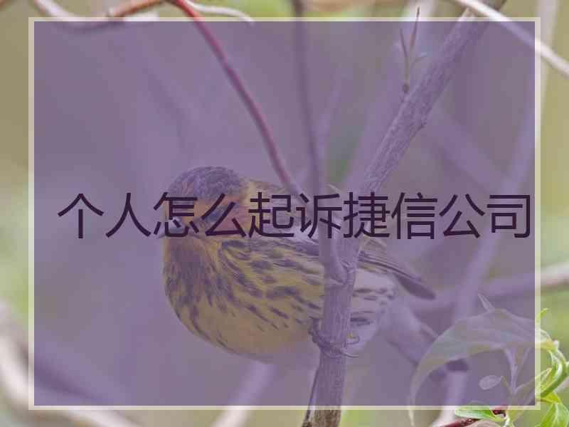 个人怎么起诉捷信公司