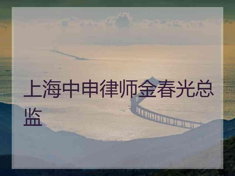 上海中申律师金春光总监